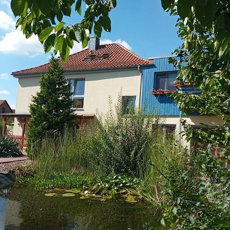 Ferienwohnung Toelle Bad Rehburg 외부 사진